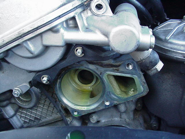 Bmw 325i water pump leak #6